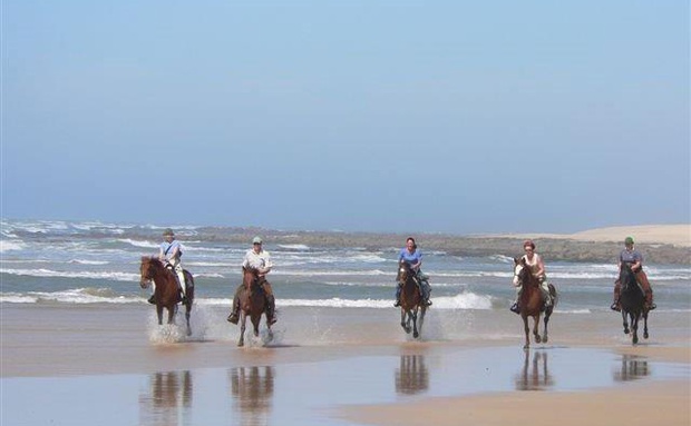 A horseride on the beach 
